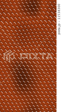 snake skin 11538300