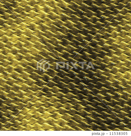 snake skin 11538305