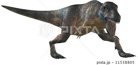 T-REX☆ティラノサウルス T-REX☆ティラノサウルス 11538805