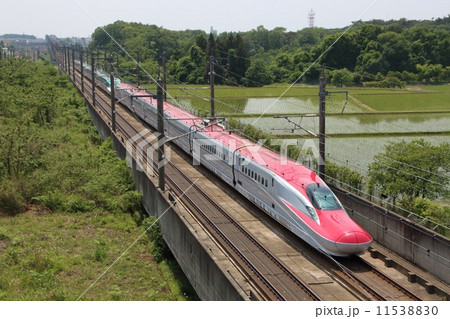 秋田新幹線E6系+東北新幹線E5系 秋田新幹線E6系+東北新幹線E5系 11538830