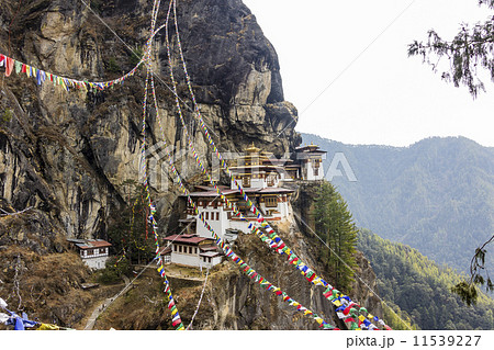 tiger's nest, Bhutan tiger's nest, Bhutan 11539227