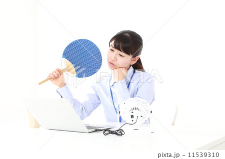 クールビズ 11539310