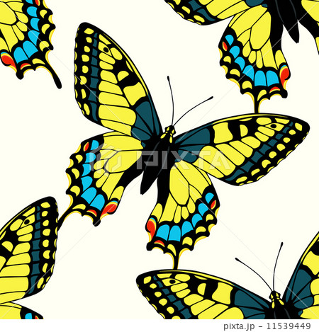 Seamless pattern with colorful machaon butterflies 11539449