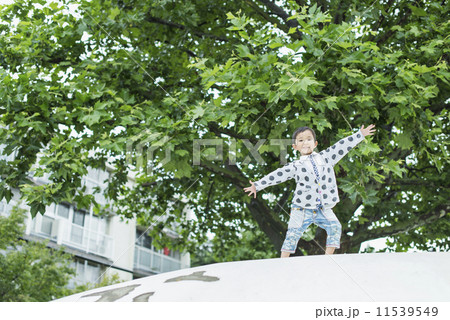 保育・幼稚園 11539549