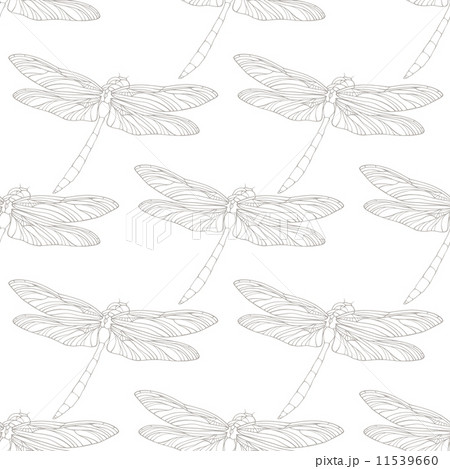 Seamless pattern with outline hand drawn dragonflies Seamless pattern with outline hand drawn dragonflies 11539660