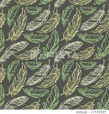 Seamless pattern with hand drawn decorative feathers Seamless pattern with hand drawn decorative feathers 11539665