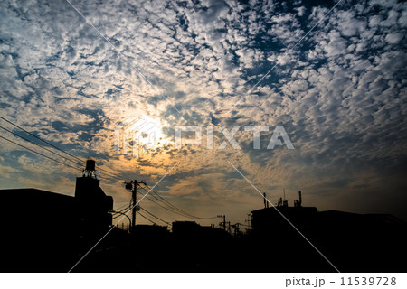 空　雲　青　逆光　シルエット 11539728