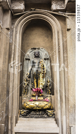 buddha statue 11539837