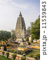 Mahabodhi temple, India 11539843