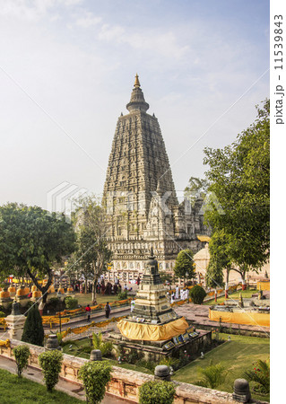 Mahabodhi temple, India 11539843