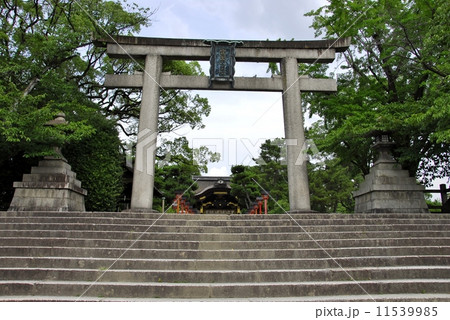 京都豊國神社の風景 11539985