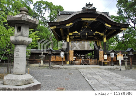 京都豊國神社の風景 11539986