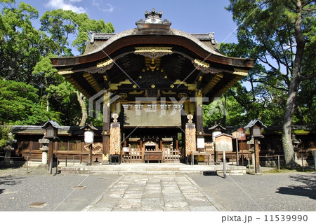 京都豊國神社の風景 京都豊國神社の風景 11539990