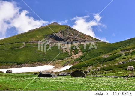 乗鞍高原の初夏 乗鞍高原の初夏 11540318