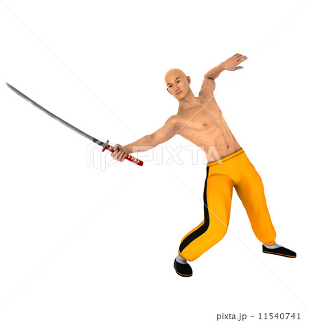 カンフーマスター 11540741