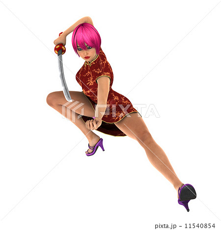 カンフーガール 11540854