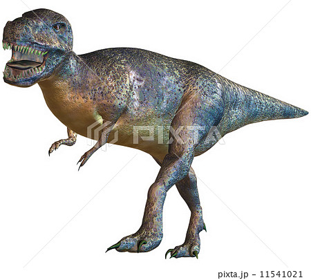 T-REX☆ティラノサウルス T-REX☆ティラノサウルス 11541021