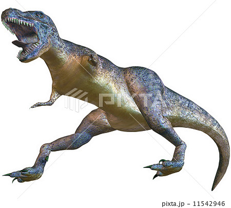 T-REX☆ティラノサウルス 11542946