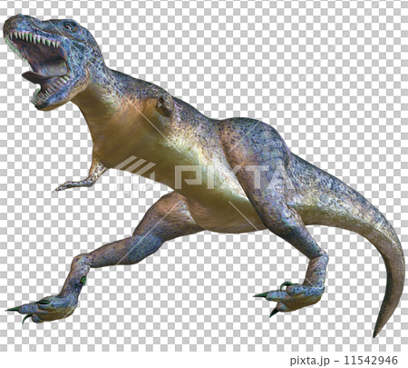 T-REX☆ティラノサウルス 11542946