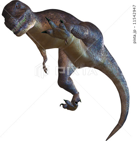 T-REX☆ティラノサウルス 11542947
