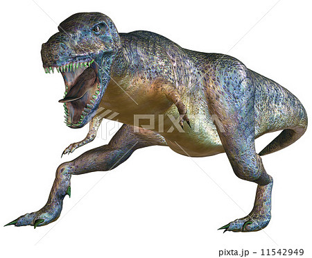 T-REX☆ティラノサウルス 11542949
