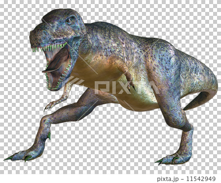 T-REX☆ティラノサウルス 11542949