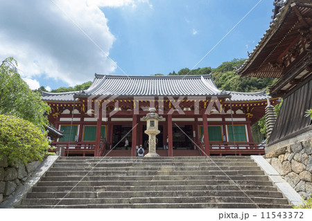 矢田寺の本堂 矢田寺の本堂 11543372