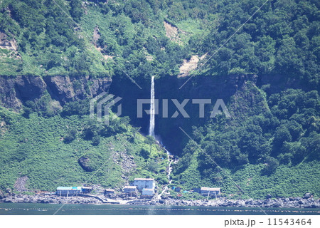 世界遺産知床の夏 世界遺産知床の夏 11543464