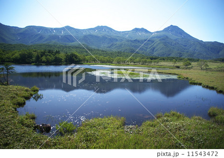 世界遺産知床の夏 世界遺産知床の夏 11543472