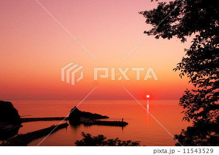 知床の絶景 11543529