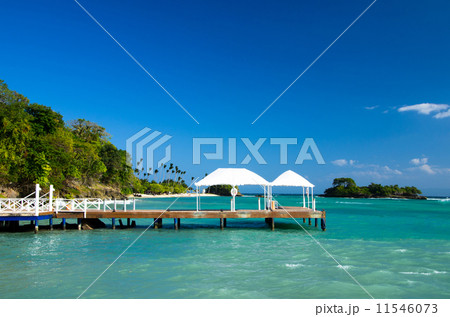 tropical sea tropical sea 11546073