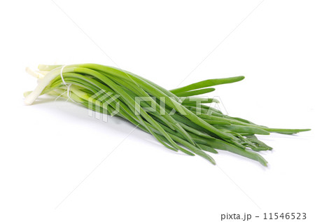 onions 11546523