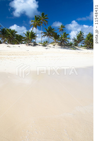 Caribbean Beach 11548431