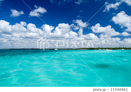 tropical sea 11548461