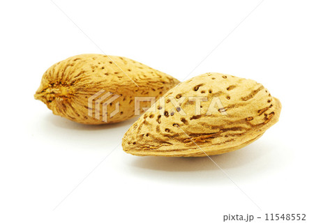 almond almond 11548552