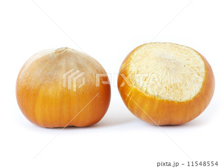 hazelnuts 11548554