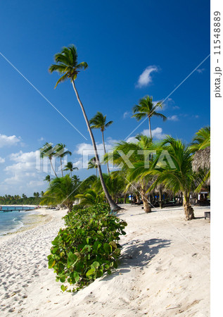 tropical beach tropical beach 11548889