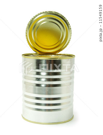 shiny food 11549159