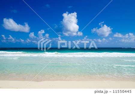 tropical sea tropical sea 11550445