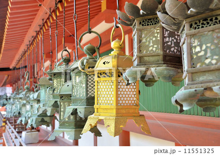 春日大社 春日大社 11551325