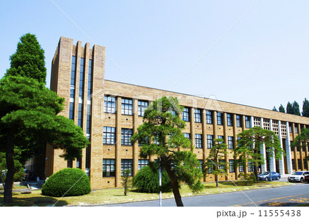 東北大学 東北大学 11555438