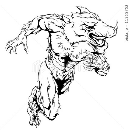Boar sports mascot running 11555752