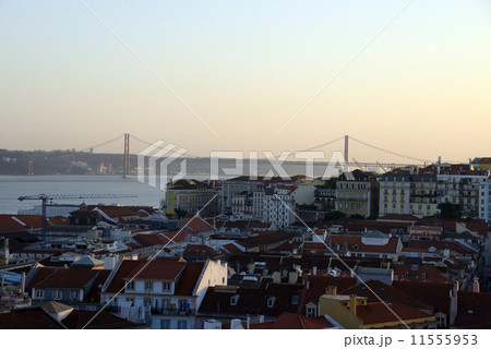 ポルトガル リスボン街並み ポルトガル リスボン街並み 11555953