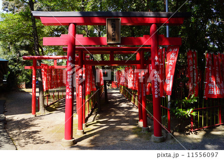浜松八幡宮 11556097