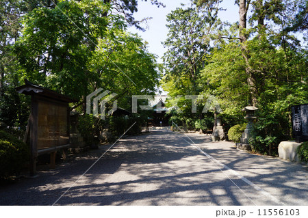浜松八幡宮 浜松八幡宮 11556103