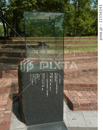 阪神淡路大震災希望の灯り（神戸三宮：東遊園地） 11556343