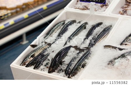 Fresh fish on ice Fresh fish on ice 11556382