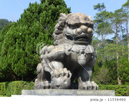 故宮博物館の狛犬(台湾：台北) 11556460