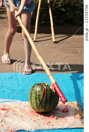 すいか割り④　女の子 11556796