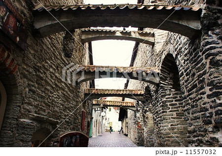 タリンのカタリーナ通り タリンのカタリーナ通り 11557032